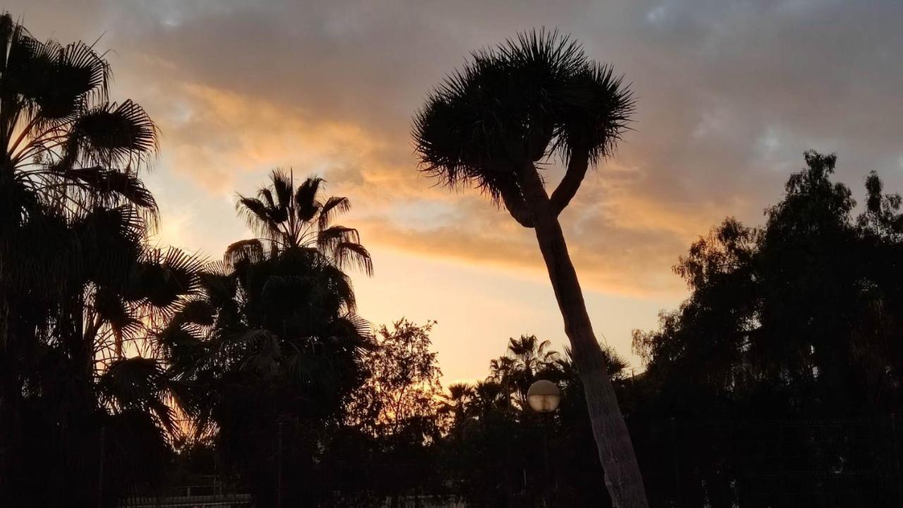 Paraiso Altemar, Duplex Las Americas Πλάγια ντε λας Αμέρικας Εξωτερικό φωτογραφία